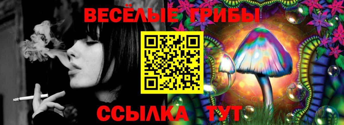Галлюциногенные грибы Psilocybe Ирбит